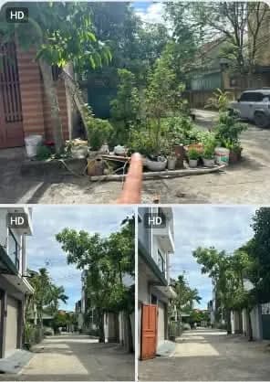 Bất động sản