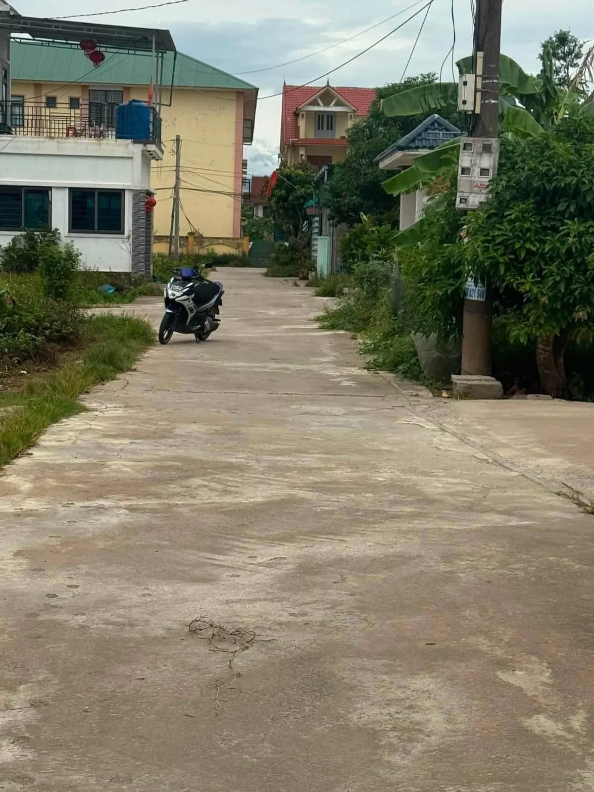 Bất động sản