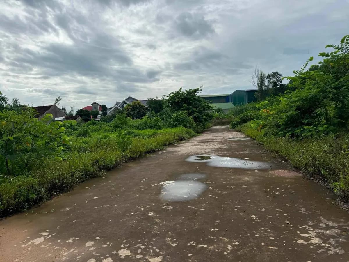 Bán đất đẹp Nam Thái Nam Đàn